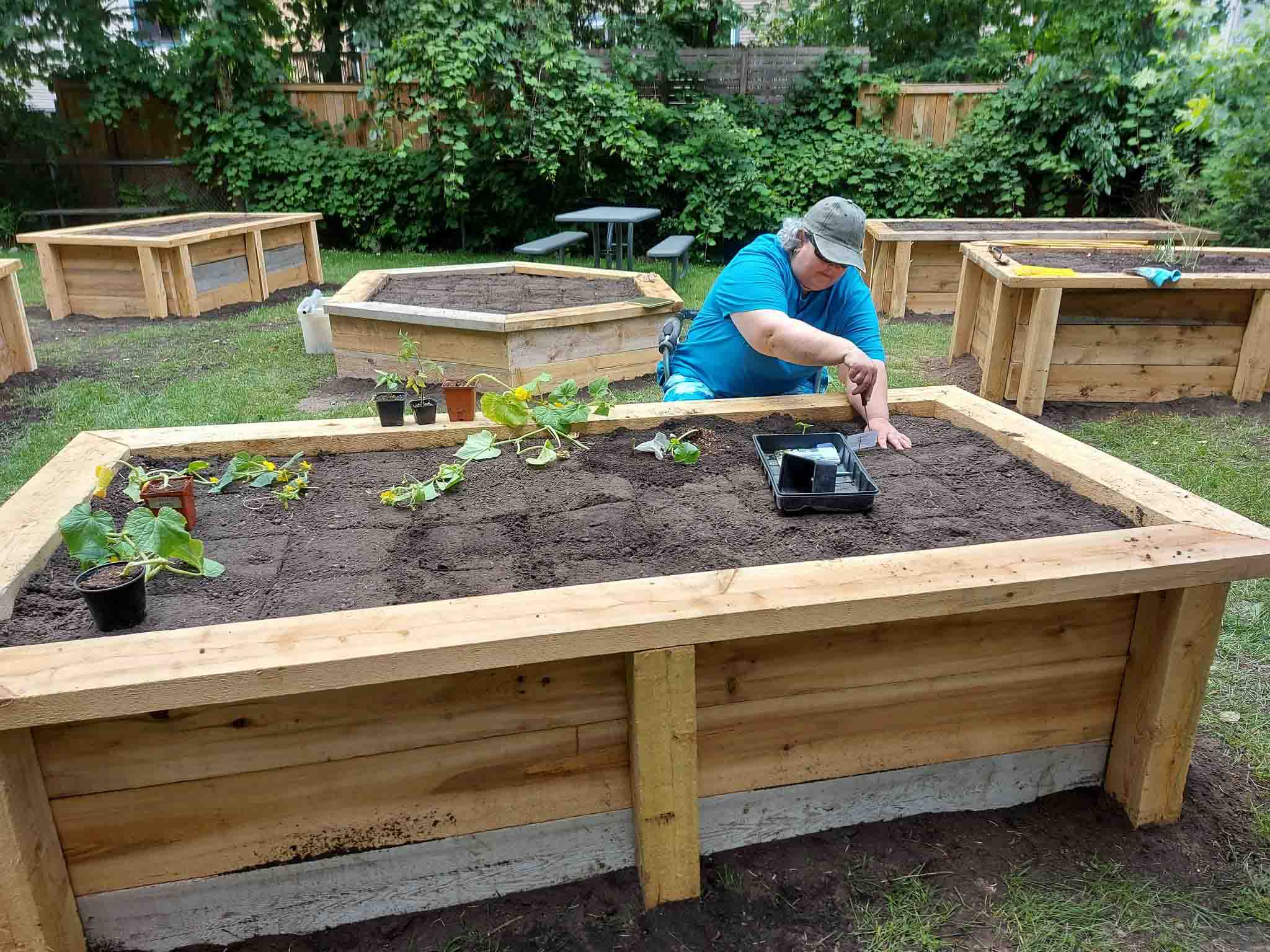 Resident prepares newly-constructed community garden at 500 St. Laurent Blvd.